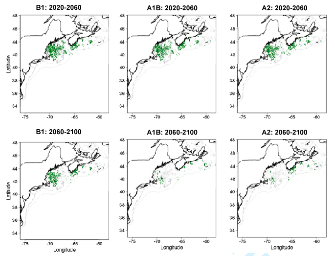 Fig. 3: Projected favorable cusk habitat in 2020-2060 under and 2060-2100 under three different climate scenarios (B1 = low emissions, A1B = moderate emissions, and A2 = high emissions).