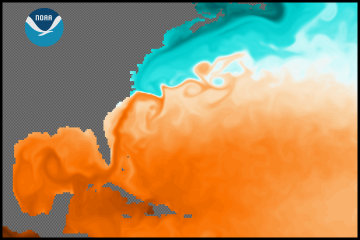 [Gulf Stream SST simulated by GFDL CM2.4 model]