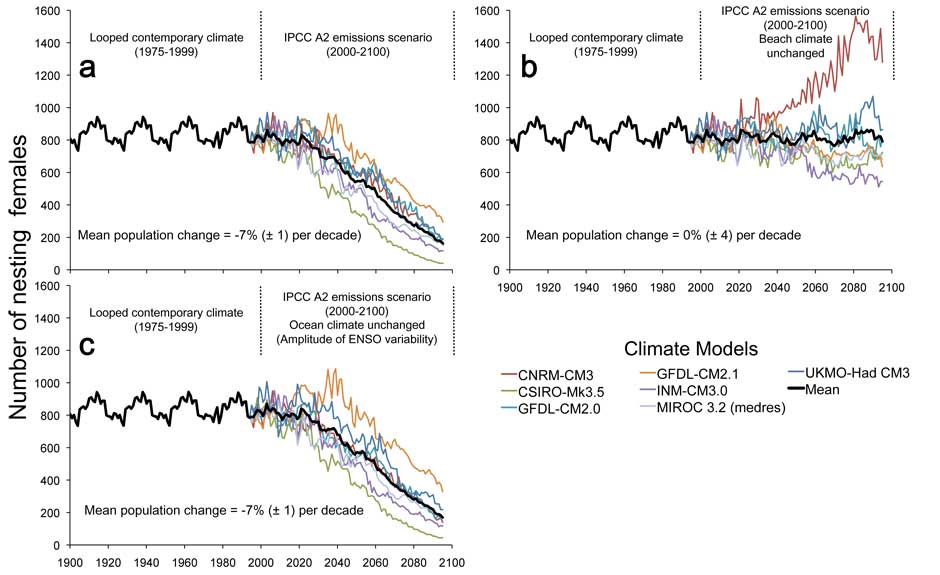 Figure 1. Climate-forced nesting population projections of annual numbers of nesting female leatherbacks at Playa Grande, Costa Rica during SRES A2 (among seven climate models) when considering three different scenarios of the impacts of beach versus ocean climate change (a to c). The looped observed contemporary climate (1976-1999) forces the population model prior to the year 2000 when the SRES A2 scenario begins. Change in the ocean climate (detrended SST anomalies) is a function of the amplitude of ENSO variability. Change in the beach climate (air temperature and precipitation) is a function of both the mean and variability. All time-series are a 10-year moving average.