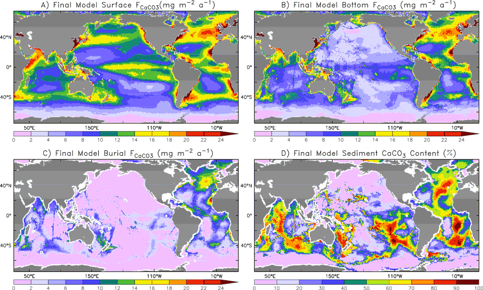 Maps of the final, optimized calcite cycle A: CaCO3 production from the satellite synthesis using the algorithm based on the degree of calcite supersaturation, temperature and small phytoplankton production. B: CaCO3 flux to the ocean bottom using the production map in A. C Optimized map of CaCO3 burial flux based on the 5-parameter metamodel . D: CaCO3 content of modern sediment (%). 