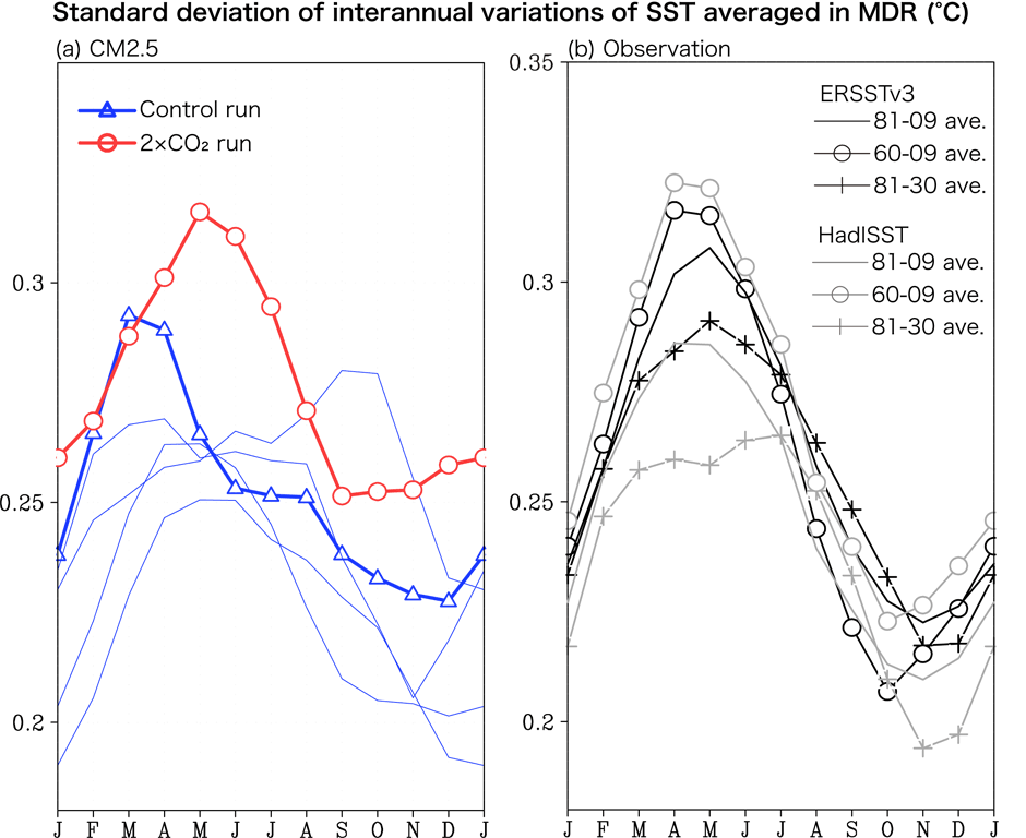 Figure: (a) Monthly standard deviation of the interannual variation of the SSTMDR for the present-day Control (thick blue line) and the CO2 doubling run (thick red line) in model years 91-140 (°C). The thin blue lines show the four other 50-years mean standard deviations in the Control run. A running mean of three months is applied. (b) Same as (a), but for observation averaged in three periods of 1881-2009, 1960-2009, and 1881-1930 in the ERSSTv3 (black) and HadISST data (grey). 