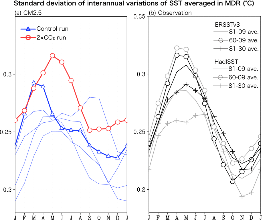 Figure: (a) Monthly standard deviation of the interannual variation of the SSTMDR for the present-day Control (thick blue line) and the CO2 doubling run (thick red line) in model years 91-140 (°C). The thin blue lines show the four other 50-years mean standard deviations in the Control run. A running mean of three months is applied. (b) Same as (a), but for observation averaged in three periods of 1881-2009, 1960-2009, and 1881-1930 in the ERSSTv3 (black) and HadISST data (grey).