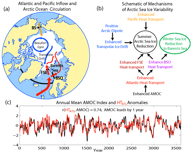 Mechanisms for low-frequency variability of summer Arctic SIE. (A) Schematic of Atlantic/Pacific inflow (red/orange arrows) and Arctic ocean circulation. White color reflects observed climatological September SIE over 1979–2013. (B) Schematic of key mechanisms. (C) Simulated LF annual mean AMOC index and HTATL anomalies, normalized by their SDs [σ(AMOC) = 0.8 Sverdrup]. BS, Bering Strait.