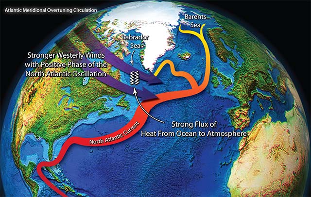 Figure Schematic of some of the impacts of the North Atlantic Oscillation (NAO) on the ocean. A positive phase of the NAO has stronger westerly winds over the subpolar gyre, thereby extracting more heat from the Labrador Sea and subpolar gyre. This leads to increasing density of water in the Northwest Atlantic, thereby increasing the west-east density gradient across the North Atlantic. In turn, this altered density contrast leads to a strengthening of the Atlantic Meridional Overturning Circulation (AMOC), thereby strengthening poleward heat transport in the North Atlantic extending into the Barents Sea and Arctic Ocean, and reducing Arctic sea ice and warming the Northern Hemisphere. Associated atmospheric circulation changes also increase the number of tropical storms in the Atlantic.