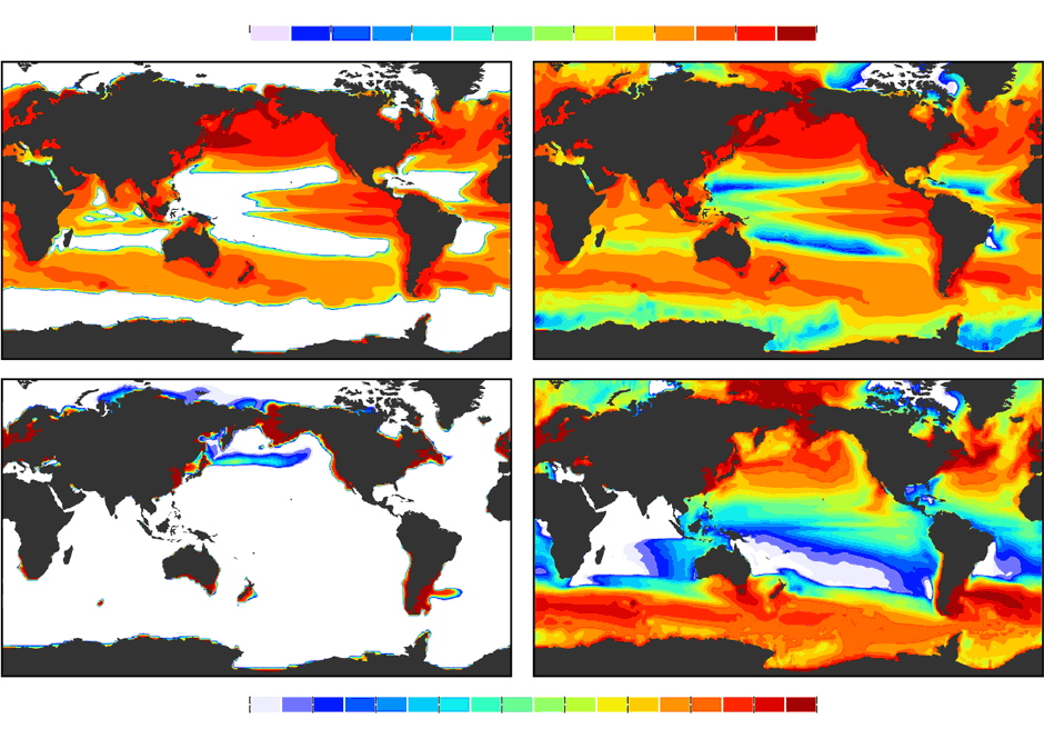 Figure: The plot above shows the distribution of forage fish biomass (top panel, e.g., sardines and anchovies) and large, top predators (bottom panel, e.g., tuna) for simulations with (left column) and without (right column). Note that the case with no movement severely restricts the distribution of top predators. It also leads to sharp gradients between top predators and preferred prey items. Allowing movement enables top predators to chase this prey and, more generally, inhabit most regions of the global ocean.