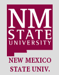 [NMSU logo]