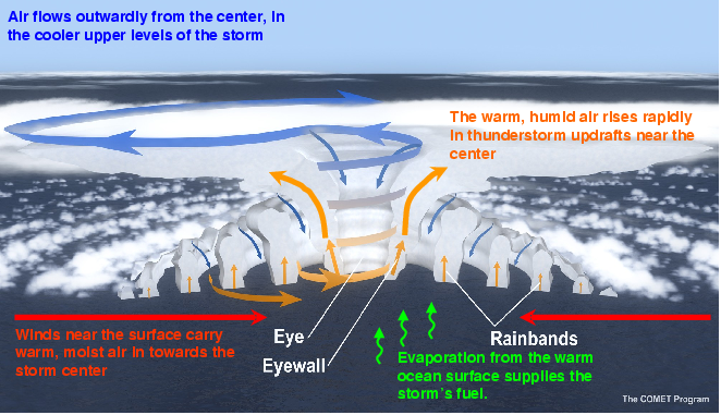 Aufbau eines Hurricanes. Quelle: NOAA